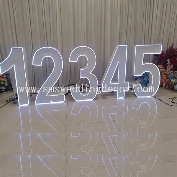 large light up birthday numbers